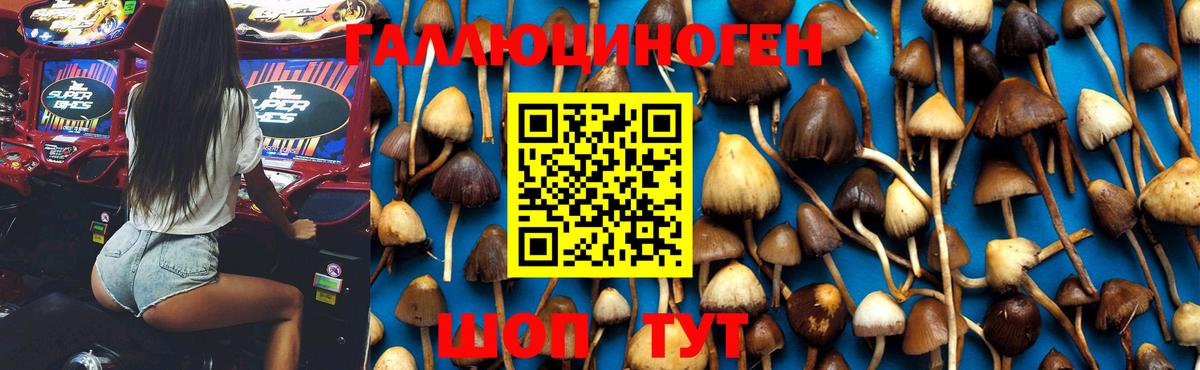 Фурманов  Псилоцибиновые грибы мухоморы  Вход с VPN  Псилоцибиновые грибы мухоморы 